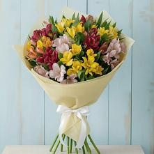 Букет цветов из:  Альстромерии #REPLACE_PRED# Верхнем Турове