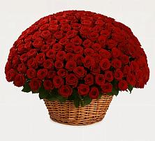 Премиум букет из: Розы в Верхнем Турове